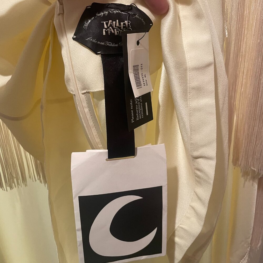 Taller Marmo Cape Fringe Trim Mini Dress - Picture 5 of 5